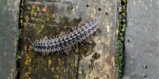 zwischendurch mal was kleineres