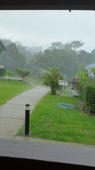 ein halbe Stunde später scheint dann wieder die Sonne und alles ist abgetrocknet.