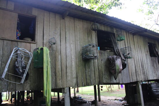 Die Vogelkäfige sind tatsächlich belegt. Manche der Armen können nicht mal fliegen, sondern nur hüpfen. Dabei gibt es hier draussen Vogelgezwitscher ohne Ende.