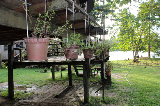 Der Garten des Hauses