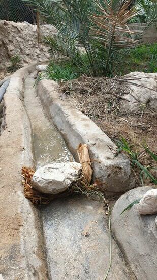 Hier schön zu sehen, wie das Leitsystem des Wassers funktioniert, der Stein mit Abdichtung von Stoff, Pflanzen oder irgendwas wird nach ausreichender Wässerung einfach umgelegt