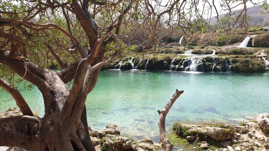 Suchbild: man beachte die linke Seite