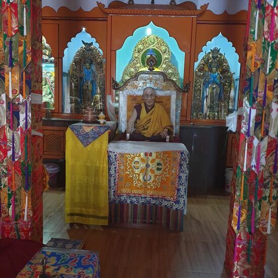 Der Dalai Lama empfängt uns im Klostertempel in Pokhara ...