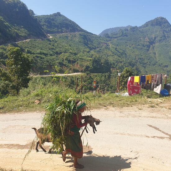 Zicklein, Ziege und der Futterberg kommen den Berg heraufgewandert.