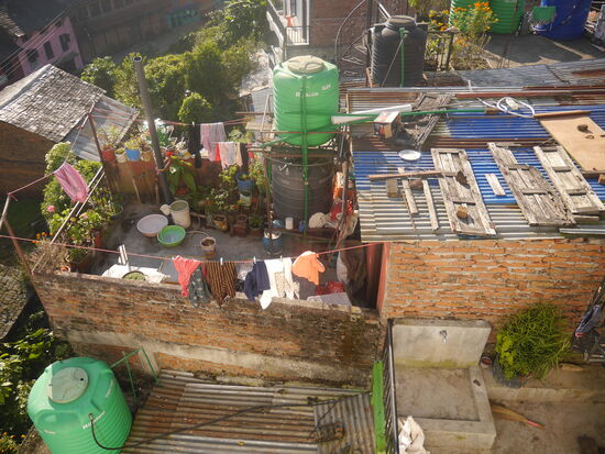 Die Katze hat im Pappkarton auf dem Dach ihre Jungen zur Welt gebracht. Zur Stärkung gabs nepalesische Reisflocken.