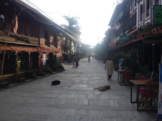 Abendstimmung auf dem Highway in Bandipur.