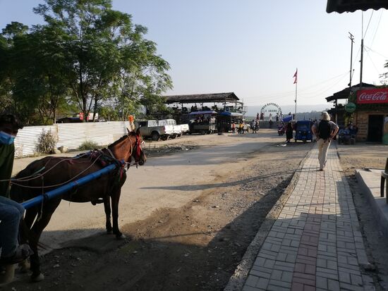 Die Ankunft in Chitwan. Vom ersten Augenblick an taten und die mageren kleinen Pferdchen leid.