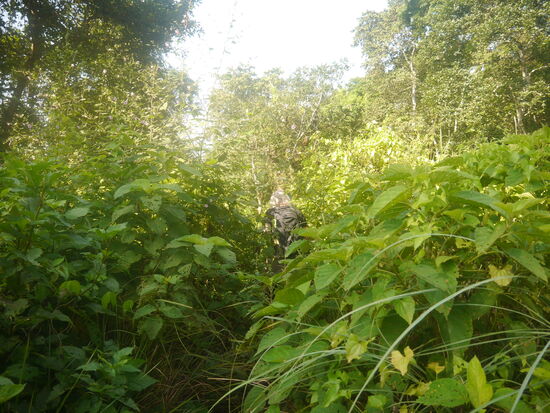 Schnell hinterher um nicht den Anschluss zu verlieren.