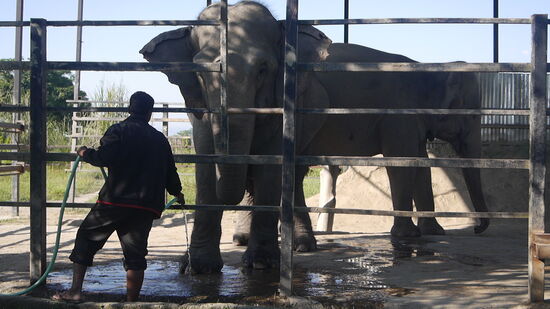 Kleine Dusche gefällig?