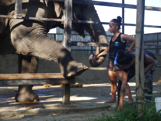 Pediküre bei Lhamo.
