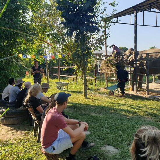 Gerade Eva reagiert empfindlich auf lärmende Menschen. Wir durften nicht näher kommen und sollten leise sein.