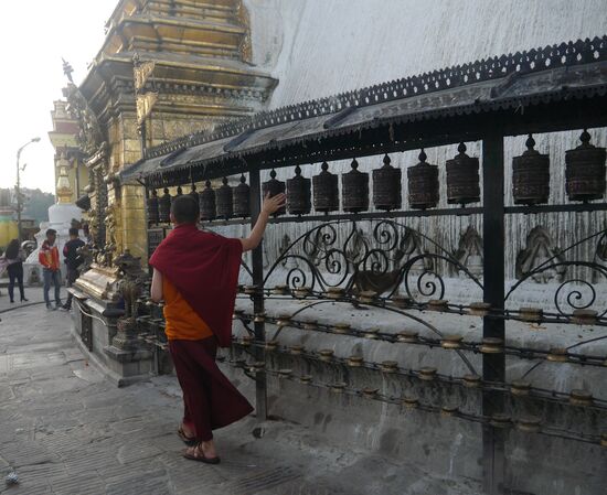 Es gibt hier Massen von Makaken, Massen von Hunden und Touristen und ein paar Mönche.