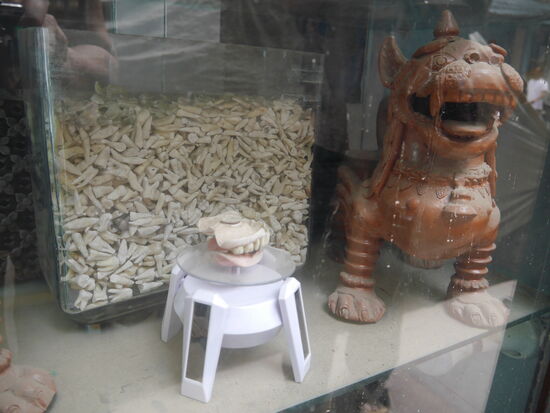 Mit Klauen und Zähnen verteidigt: Ein großes Glas mit echten Zähnen jeglicher Art.