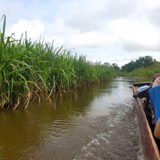 Nach einer kurzen Bootsfahrt sind wir da, und steigen den Berg hoch.