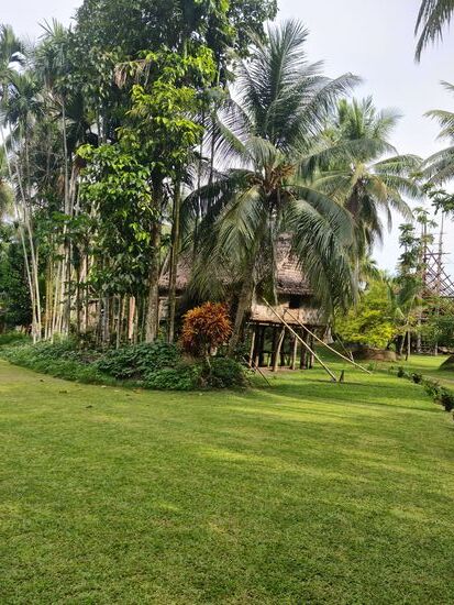 Ein nettes Dorf, gepflegte Rasenflächen und Hecken.
