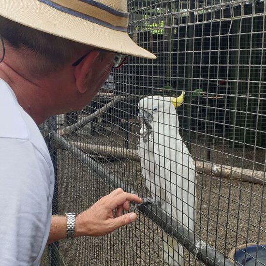Coco tanzt brav nach Musik und ist auch ansonsten sehr zutraulich