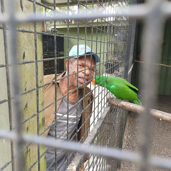 Die Vögel sind mit den Wärtern sehr vertraut