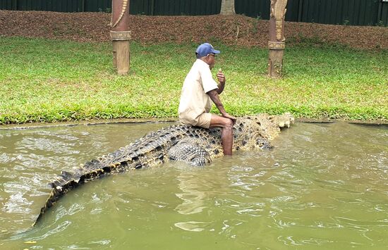 Er gab ihm sogar einen Kuss auf die Nase, und setzte sich zum Schluss auf ihn drauf.
Die Beiden schienen sehr vertraut miteinander zu sein.