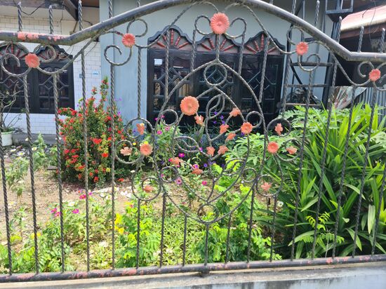 Leider eine Ausnahme