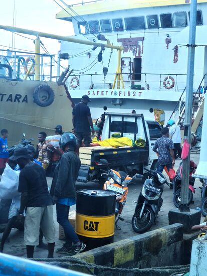 Die Fähre wird beladen