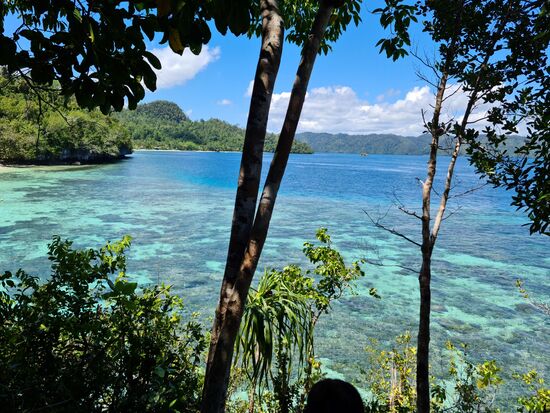 Ein letzter Blick vom Frühstück auf die Bucht, und dann wechsele ich den Standort.
Jetzt wird erstmal Urlaub gemacht
