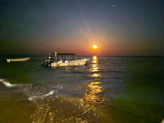 Der letzte Abend hat uns noch einen schönen Mond beschert.