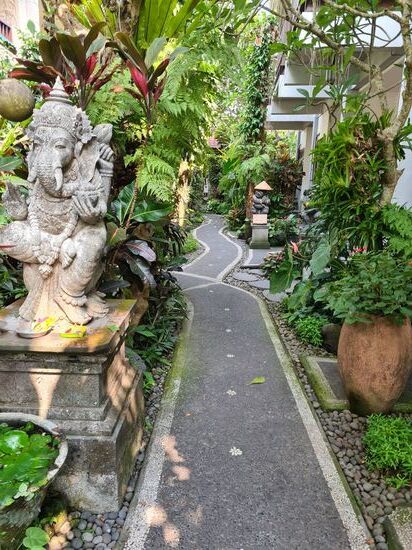 Im Garten meines Hotels.