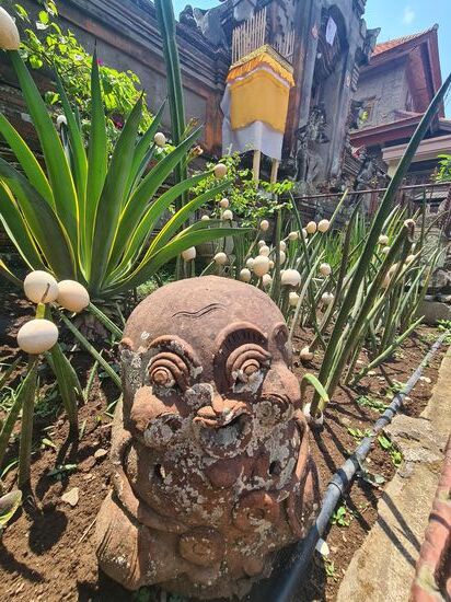 Hier wachsen wohl die Eier an Sträuchern.