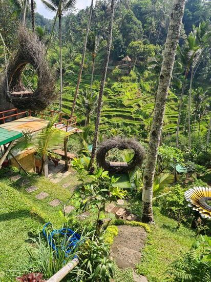 Ebenso in Vogelnestern oder Herzen, oder wie links im Bild im weiß gelben Blütenkelch.