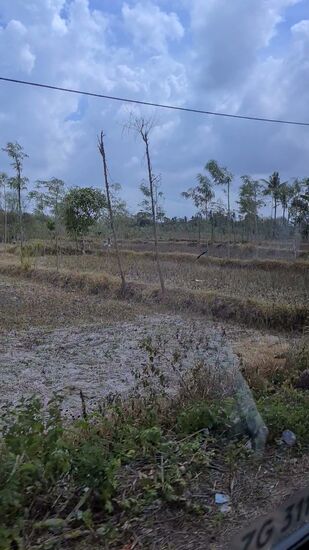 Je weiter wir Richtung Süden fahren, desto trockener wird das Land.
