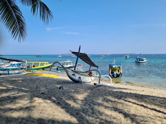 keine spektakulären Riffe mit Korallen, aber dafür spektakuläre Fische