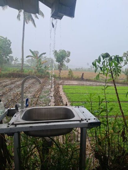 Viel Wasser und viel Grün