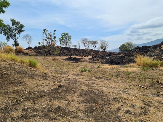 Hier ist übrigens sehr fruchtbare Erde, der Vulkan spuckt gelegentlich.
Man hat sogar ein Flussbett für die Alava gebaut. Ich möchte das aber dennoch anzweifeln, ob die Lava sich dran hält