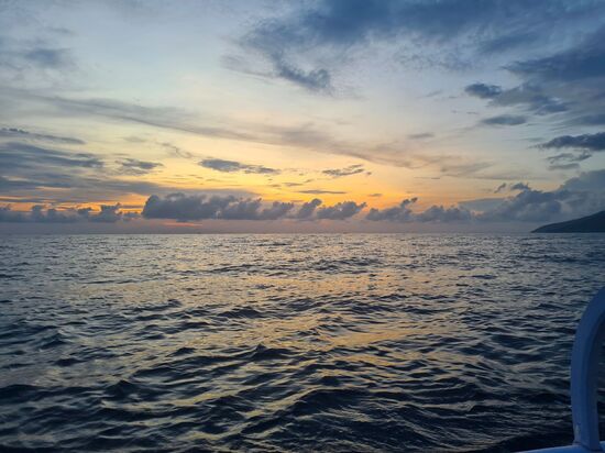 Leider zeigt sich der Sunrise auch eher verhalten.