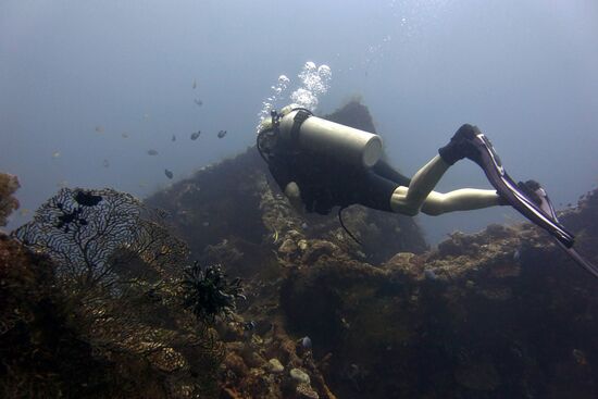 Das US Liberty Wrack.