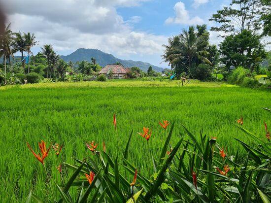Das ist der Blick beim Frühstück