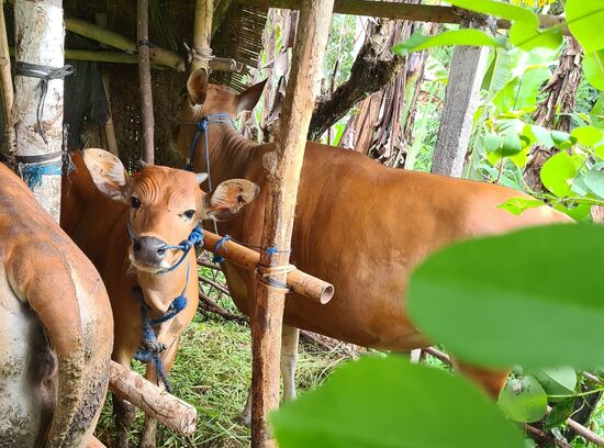 Direkte Nachbarschaft