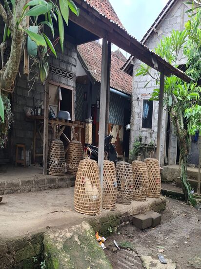 Besagte Hähnenkörbe.
Die Höhne werden hier für Hahnenkämpfe gehalten, ich will nicht wissen, ob sie auch scharfe Sporen tragen müssen...