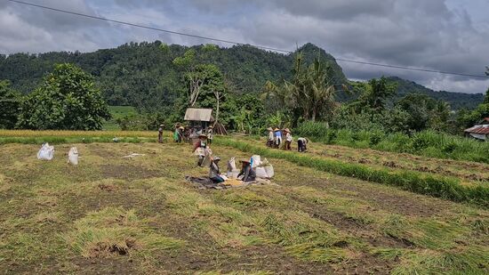 Diese netten Damen haben uns rüber gewinkt, als ich fotografieren wollte.
Alleine wäre ich zu schüchtern gewesen, keine sprach ein Wort Englisch