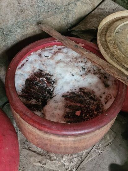 Es müssen eine bestimmte Anzahl von Litern im Topf sein. Es wird ein Stück Baumrinde hinzu gefügt.