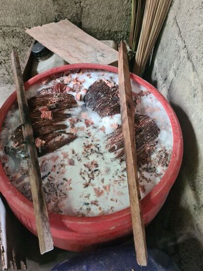 Das ist dann erstmal Palmwein. Durch das folgende destillieren wird es Arrak.