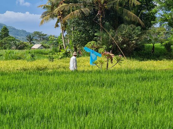 Ein letzter Früstücksausblick