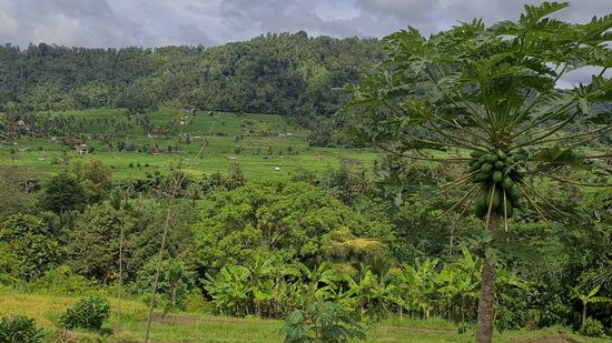 Die Reise geht weiter.