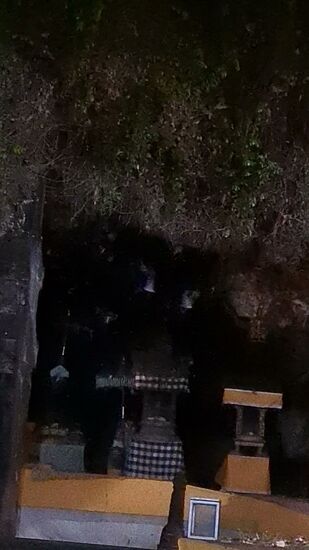 Leider nicht so gut zu erkennen, wie sie ausschwärmen, es ist dann zu schnell dunkel geworden. Es war dennoch ein grandioser Anblick.