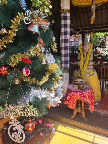 Ach ja, es ist Weihnachtszeit. Das geht völlig an mir vorüber.