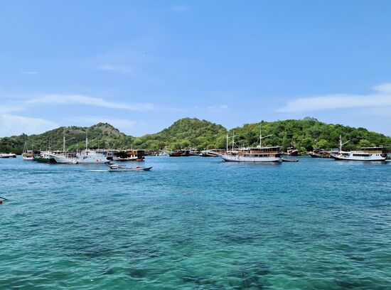 Viele Boote, die die Mehrtagestouren machen, ob mit Tauchen oder ohne.