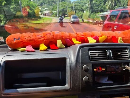 Der Schutz der Armatur vor der Sonne !