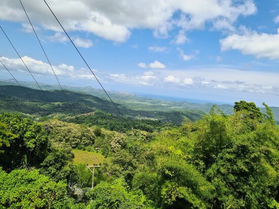 Wir fahren hoch, Flores ist eine wunderschöne grüne Insel. Viel Obst und Gemüseanbau.