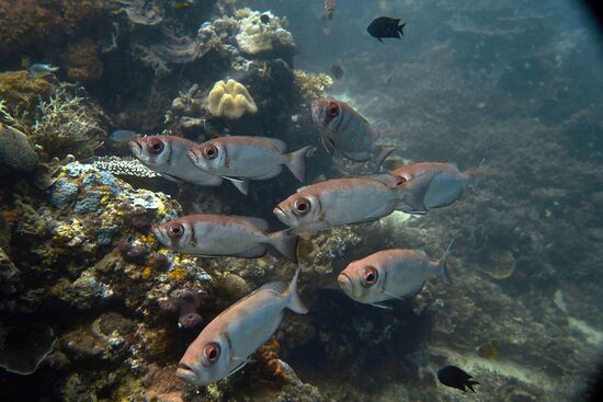 Der Gesichtsausdruck kommt sehr missmutig rüber.