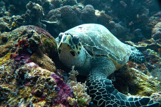 Etwas verschlafen schaut sie.